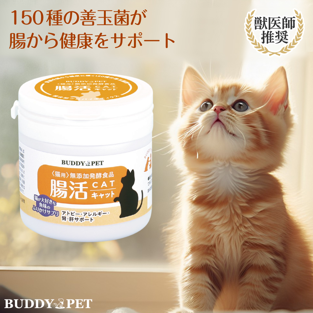 猫用 腸活サプリメント 腸活キャット 45g