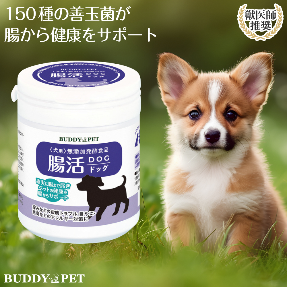 犬用 腸活サプリメント 腸活ドッグ 100g