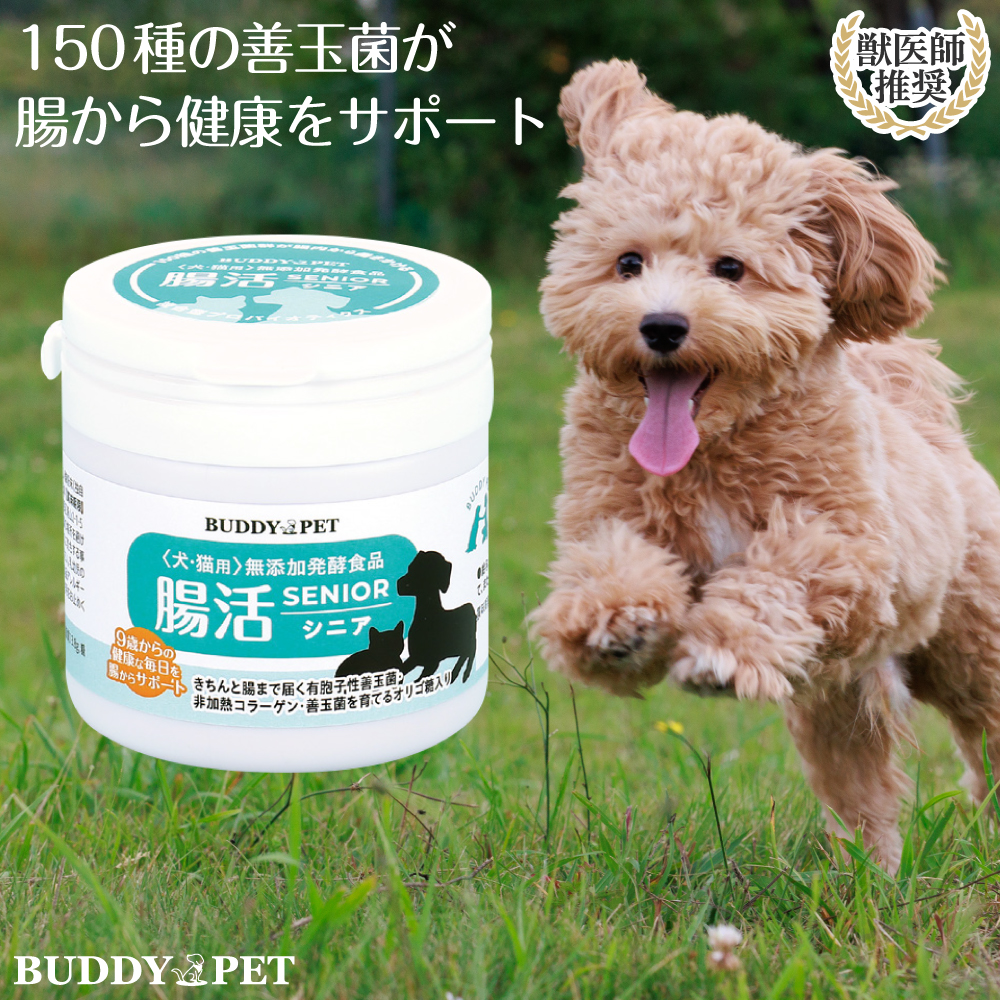 犬猫用 腸活サプリメント 腸活シニア 52g