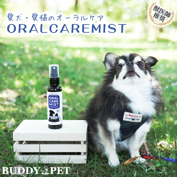 ORALCAREMIST オーラルケアミスト 80mL